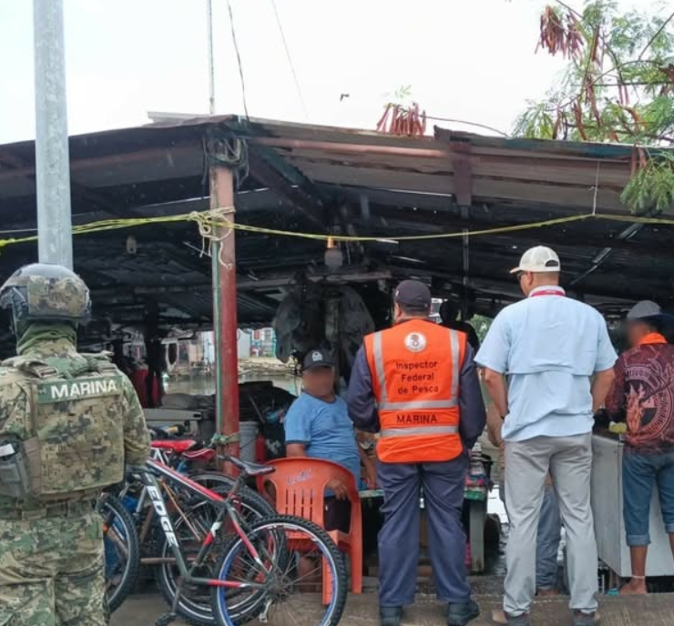 Golpe a la pesca ilegal, autoridades aseguran más de una tonelada de producto