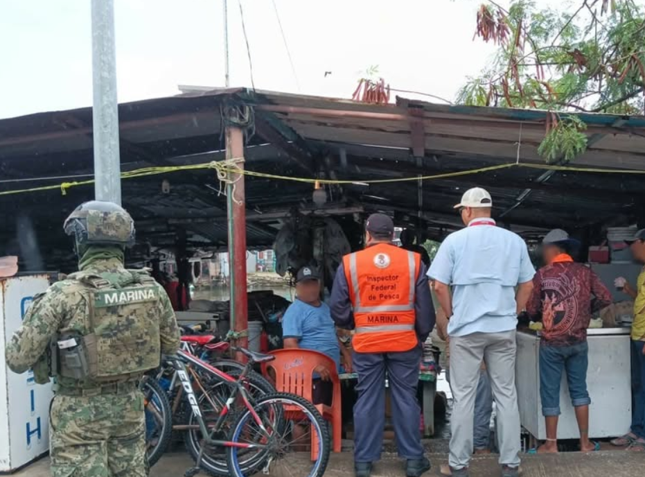 Golpe a la pesca ilegal, autoridades aseguran más de una tonelada de producto