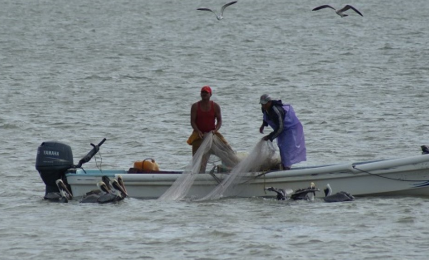 Impacto ambiental y económico en la región