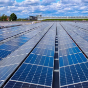 CFE impulsa la energía renovable con proyectos solares