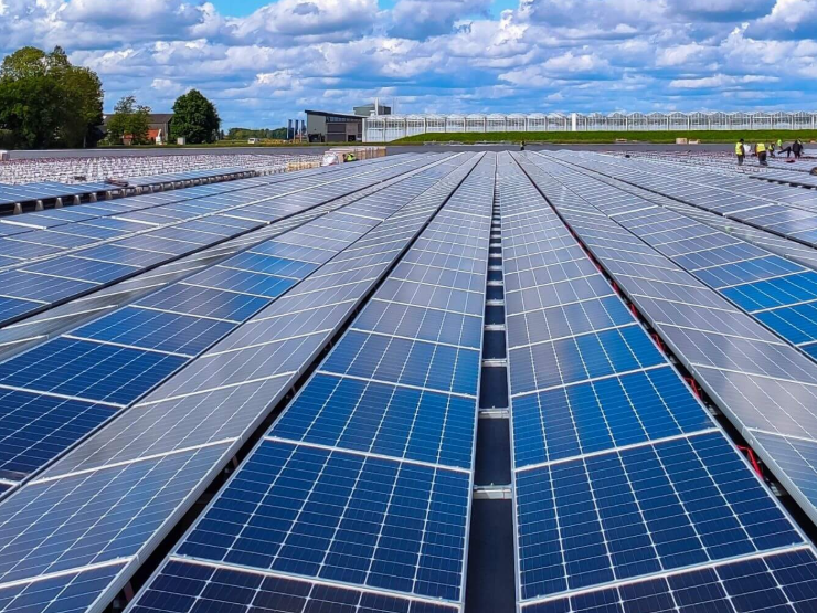 CFE impulsa la energía renovable con proyectos solares