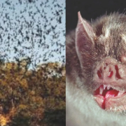 Naturaleza y turismo responsable, un santuario natural
