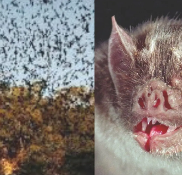 Naturaleza y turismo responsable, un santuario natural