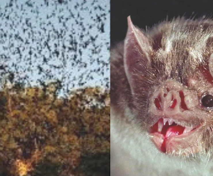 Naturaleza y turismo responsable, un santuario natural