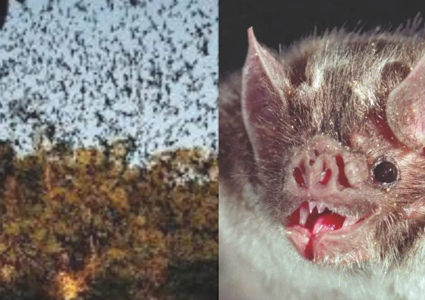 Naturaleza y turismo responsable, un santuario natural