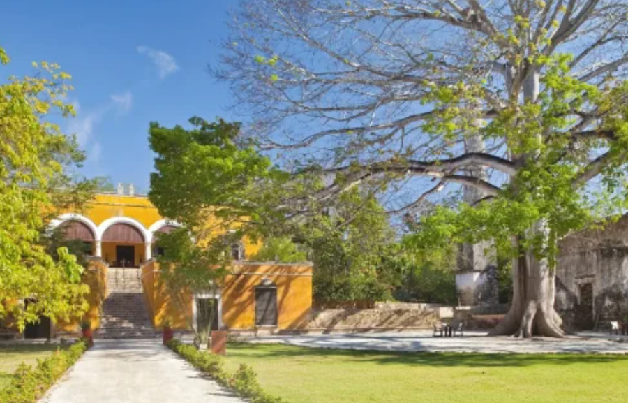 Experiencia inmersiva entre selva y lujo