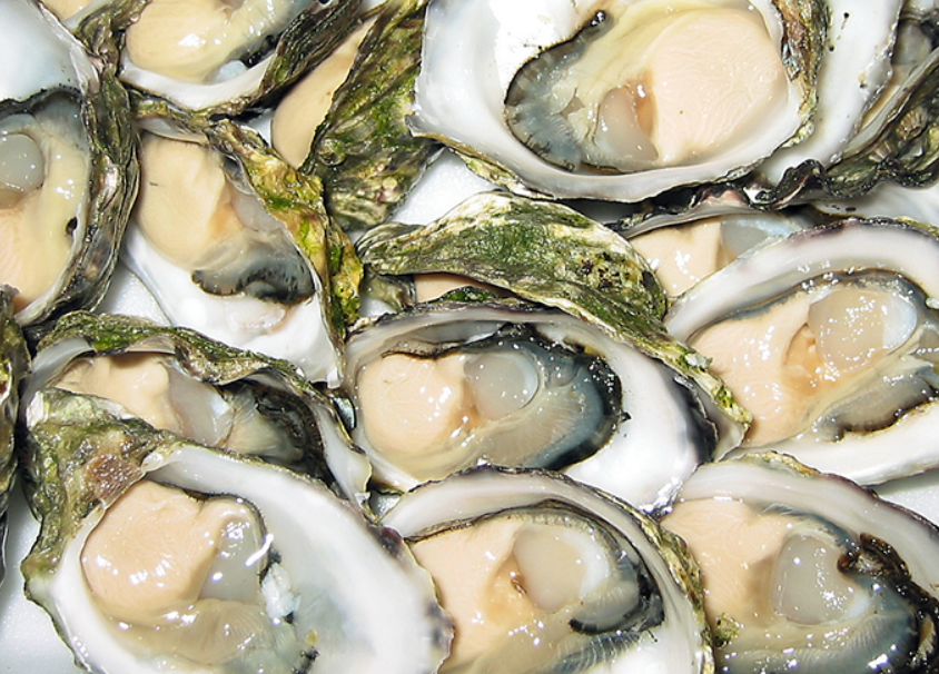 Protección total para especies en veda