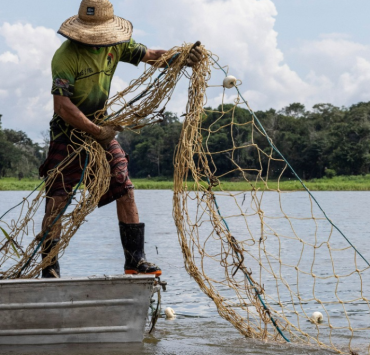 El Mero vuelve a campeche y las redes de pesca se llenan