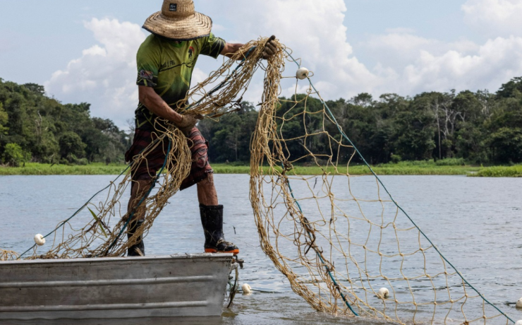 El Mero vuelve a campeche y las redes de pesca se llenan
