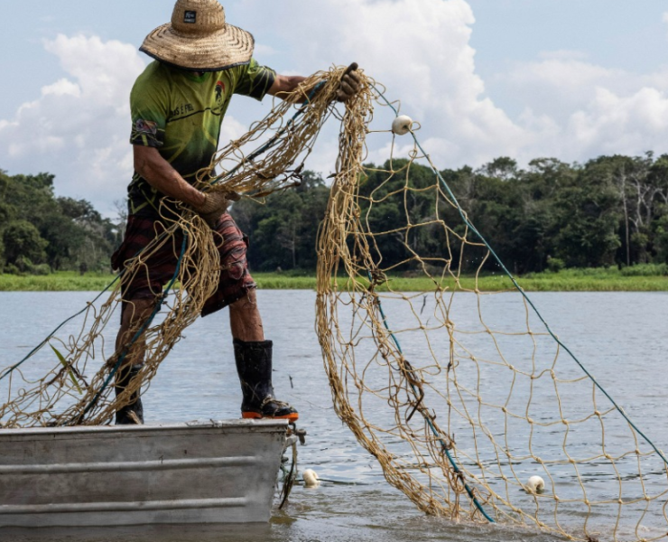El Mero vuelve a campeche y las redes de pesca se llenan