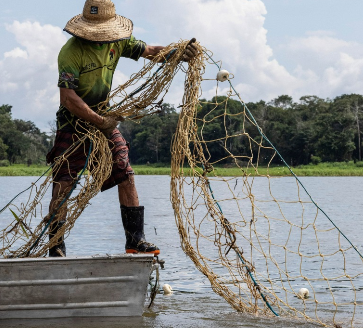 El Mero vuelve a campeche y las redes de pesca se llenan