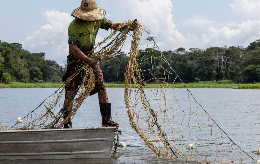 El Mero vuelve a campeche y las redes de pesca se llenan
