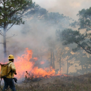 Autoridades de Campeche informan incendios provocados