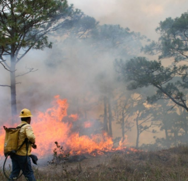 Autoridades de Campeche informan incendios provocados