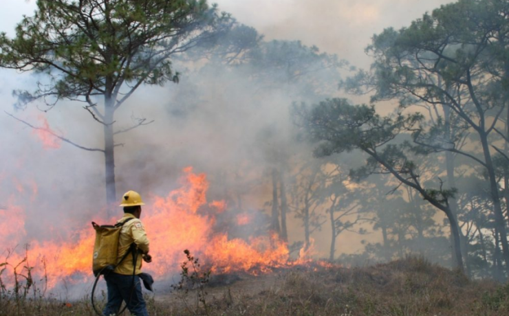 Autoridades de Campeche informan incendios provocados