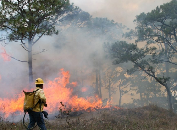 Autoridades de Campeche informan incendios provocados