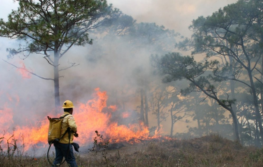 Autoridades de Campeche informan incendios provocados