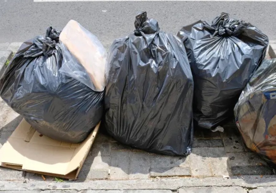 Ciudadanos protestan dejando basura en el Palacio Municipal: impacto social