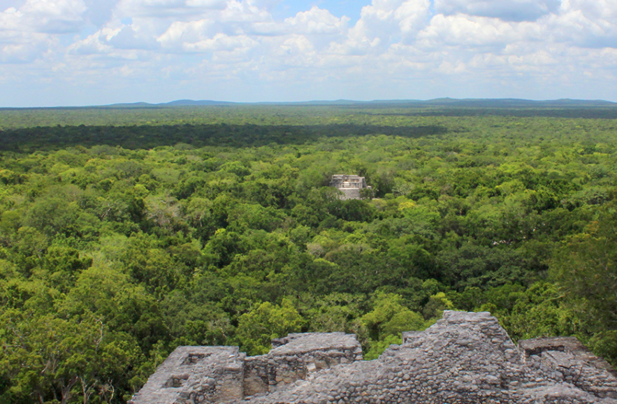 Vigilancia y denuncias ciudadanas