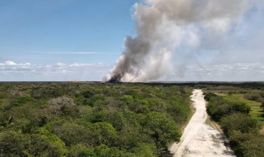 Expansión del siniestro y respuesta de autoridades