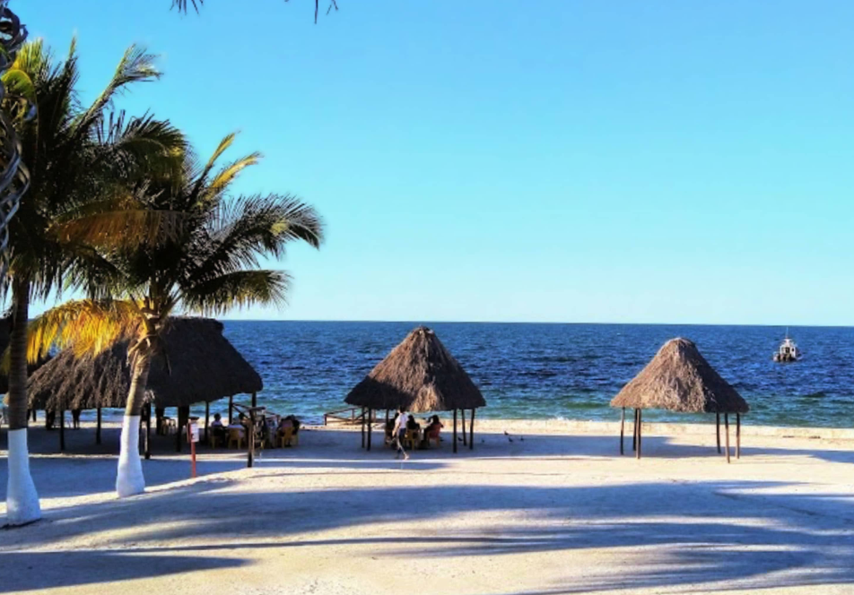 Importancia de la información oficial