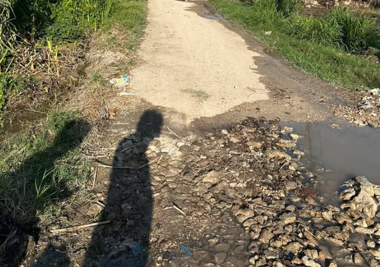 Crisis urbana en Seybaplaya, Campeche por abandono del ayuntamiento