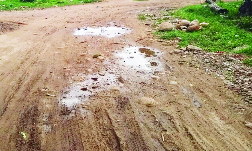 Riesgo eléctrico y salud pública en expansión dentro de la crisis urbana en Seybaplaya