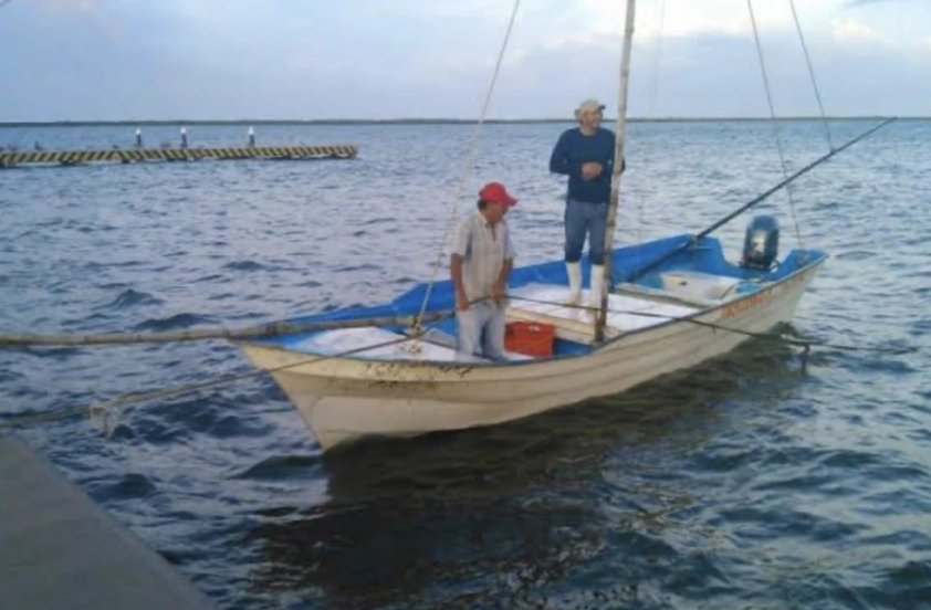 Cédulas marcan el camino a apoyos por veda y baja captura
