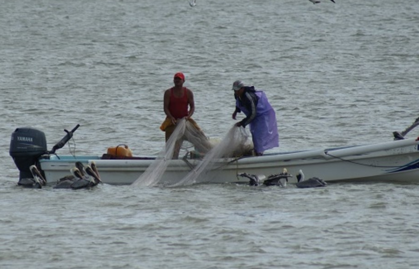 Cédulas marcan el camino a apoyos y registro obligatorio