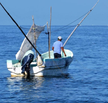 Capturan pescados con manchas de crudo