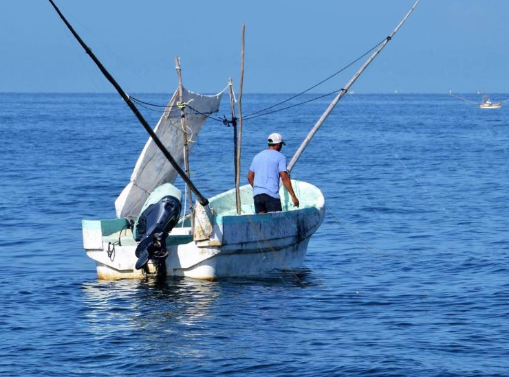 Capturan pescados con manchas de crudo