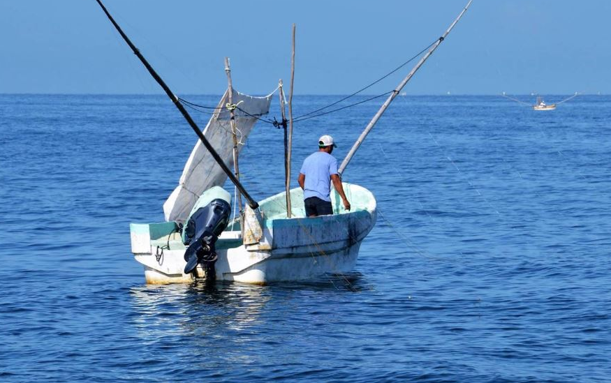 Capturan pescados con manchas de crudo