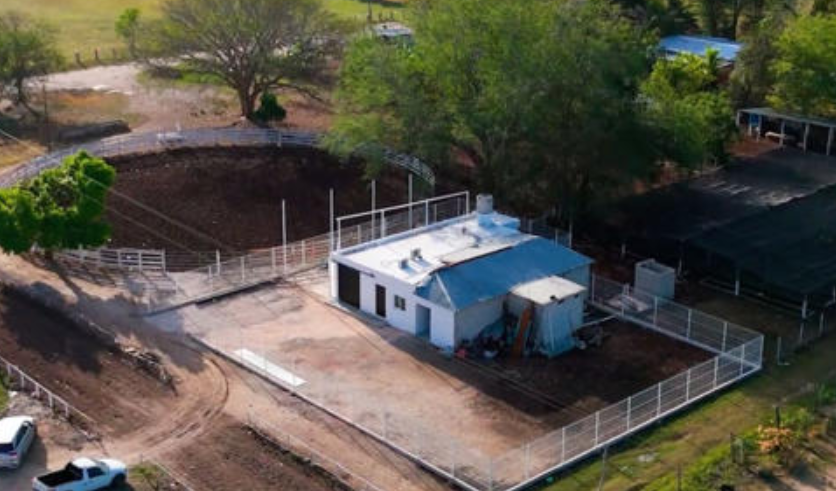 Campeche rehabilita 35 kilómetros de caminos sacacosechas