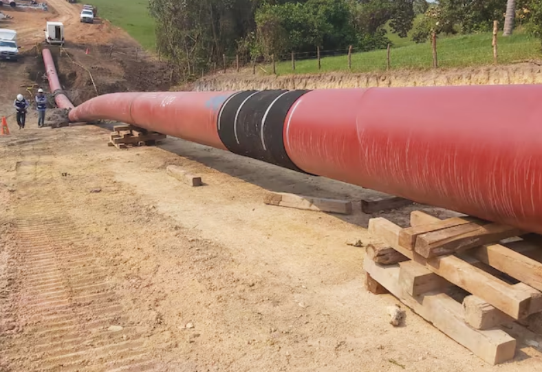 Problemas sanitarios agravan la situación