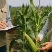 Campeche fortalece la vigilancia fitozoosanitaria 2026