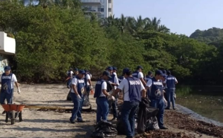 Armada de México encabeza jornada masiva de limpieza en costas de Campeche.