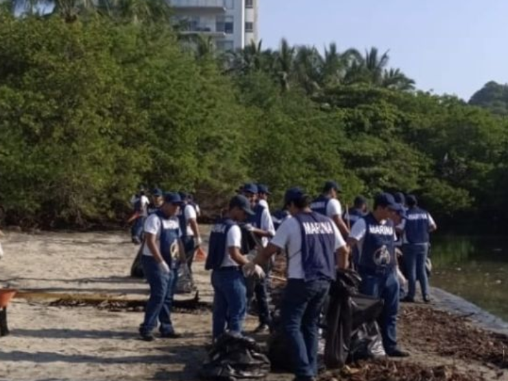 Armada de México encabeza jornada masiva de limpieza en costas de Campeche.