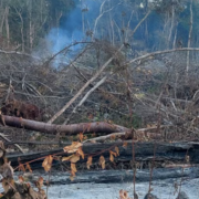 Clausuran predio en Campeche cerca de la reserva de Calakmul