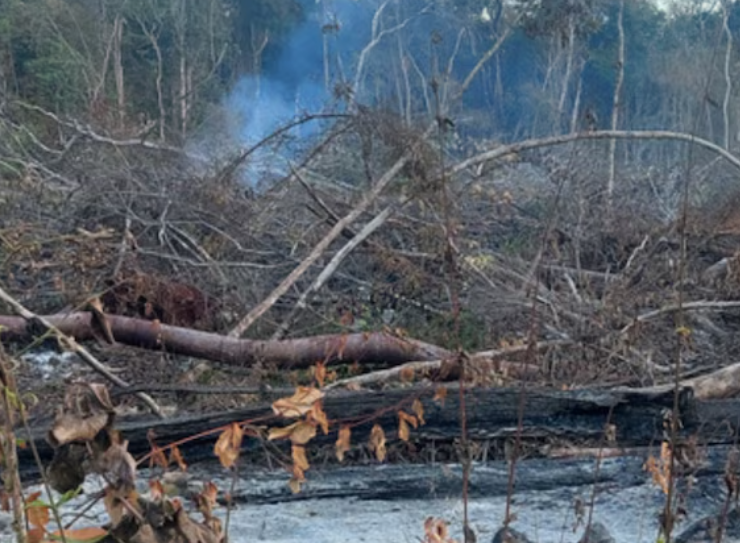 Clausuran predio en Campeche cerca de la reserva de Calakmul