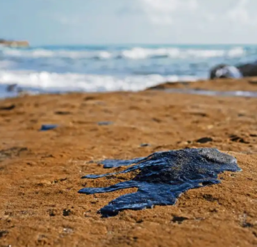 Efectos del derrame de hidrocarburos en Campeche se verán en la siguiente temporada