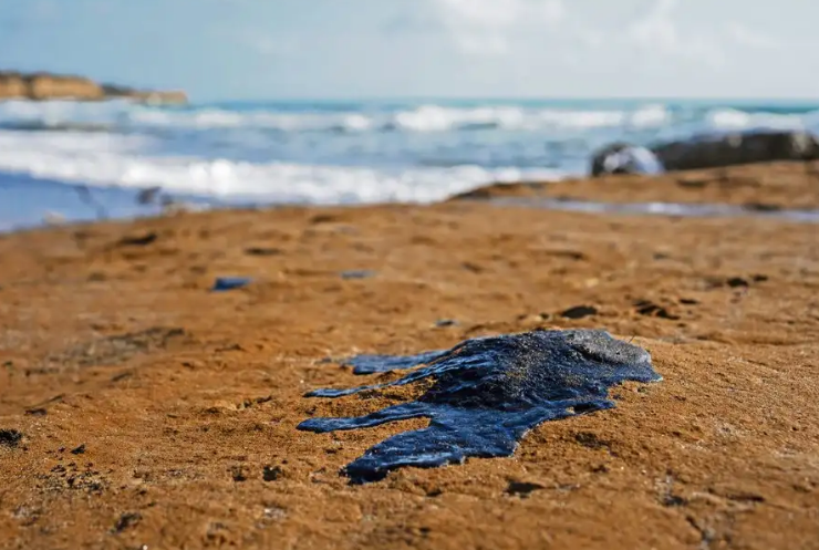 Efectos del derrame de hidrocarburos en Campeche se verán en la siguiente temporada