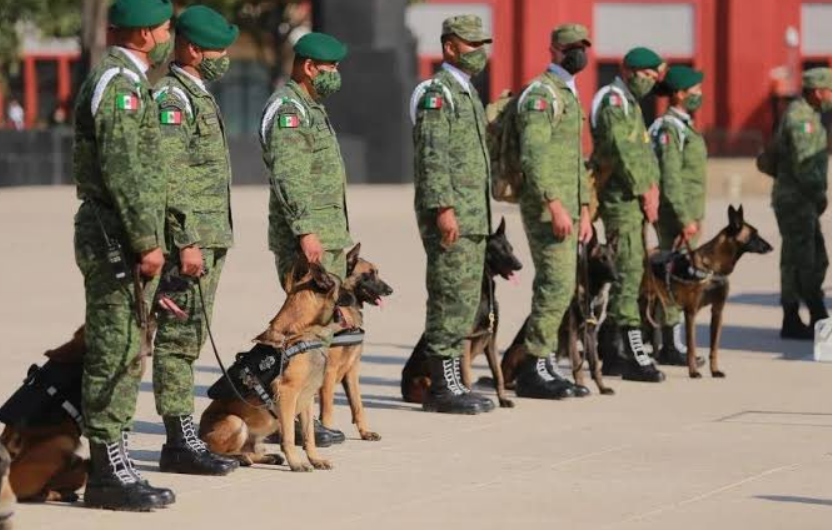 Impacto en operaciones estratégicas