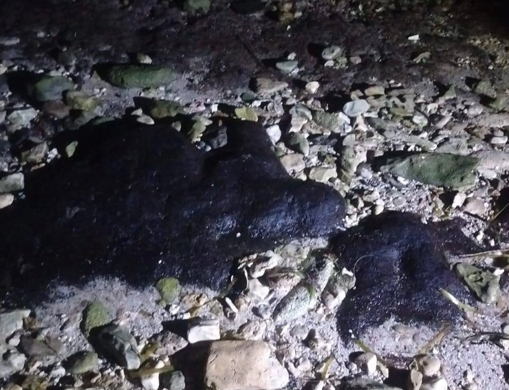 Advierten presencia de chapopote en playas de Campeche