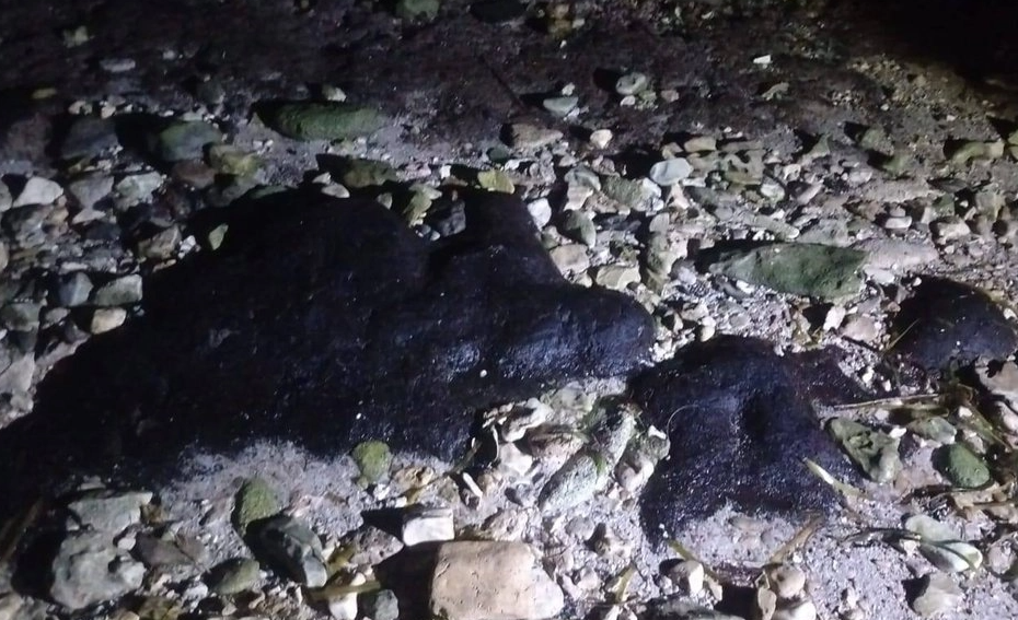 Advierten presencia de chapopote en playas de Campeche