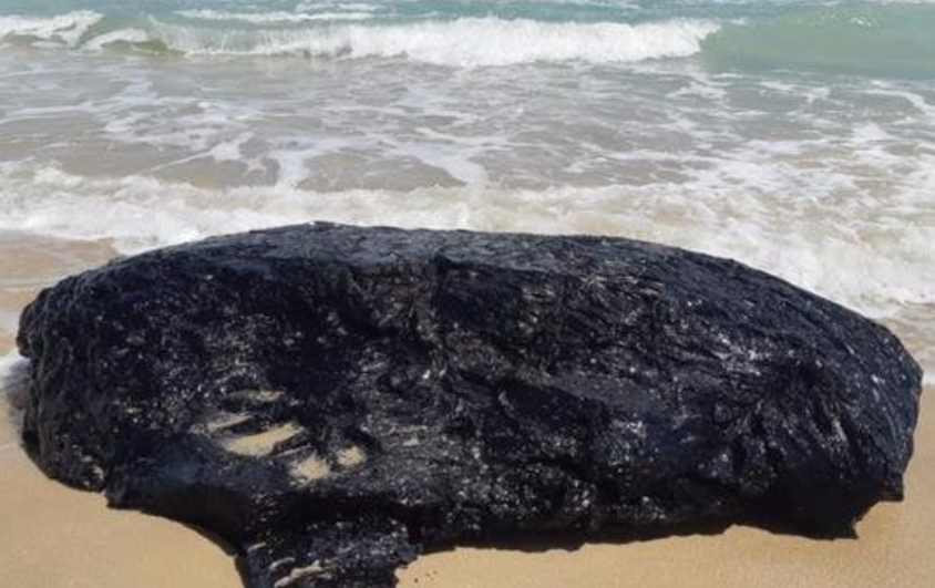 Detectan manchas de hidrocarburo fresco en Champotón