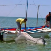 Pesca en Campeche paraliza por la veda y derrames de hidrocarburos