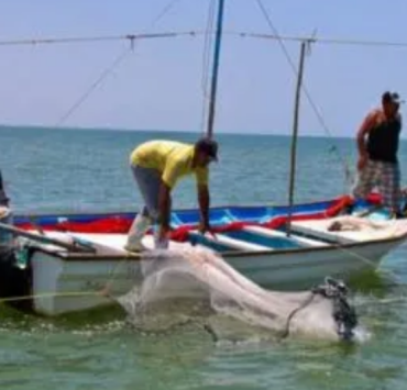 Pesca en Campeche paraliza por la veda y derrames de hidrocarburos