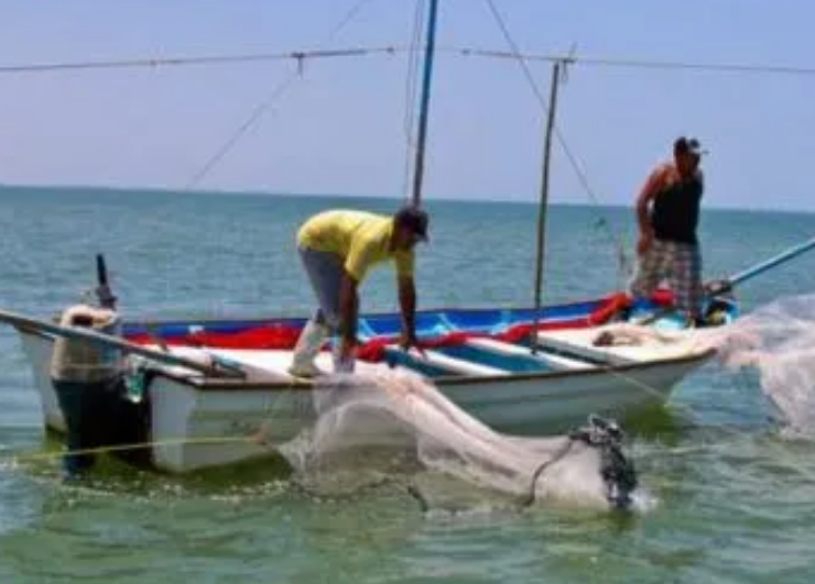 Pesca en Campeche paraliza por la veda y derrames de hidrocarburos