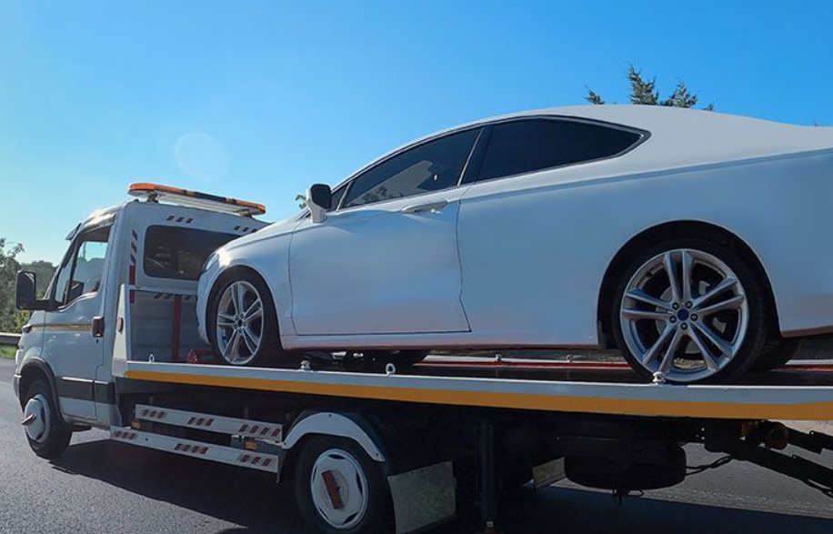 Transporte ilegal y plataformas digitales en la mira