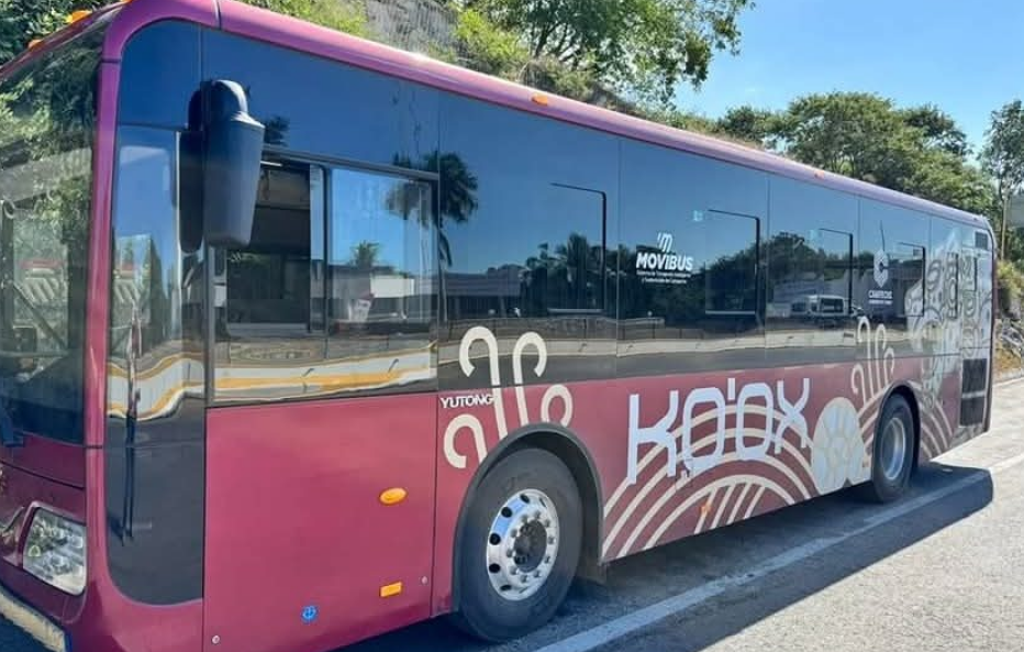 Movilidad y derechos vulnerados en transporte público